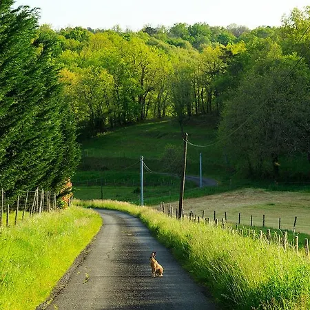 Bouillac Sleeps 12 * Bouillac